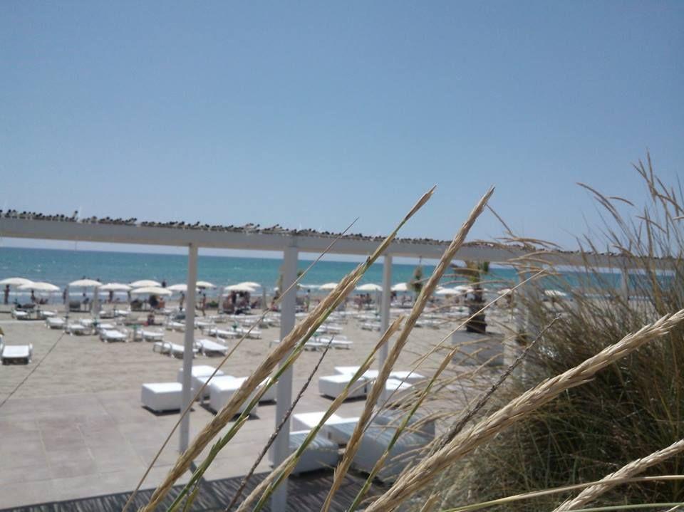 Agrumare Farm Holiday Marina Di Pisticci Exterior foto